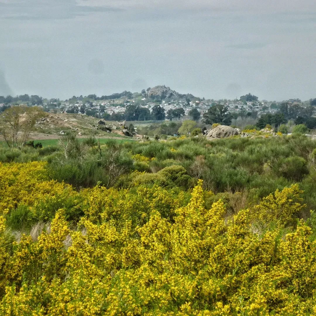 Salidas en las Sierras y en la Montaña