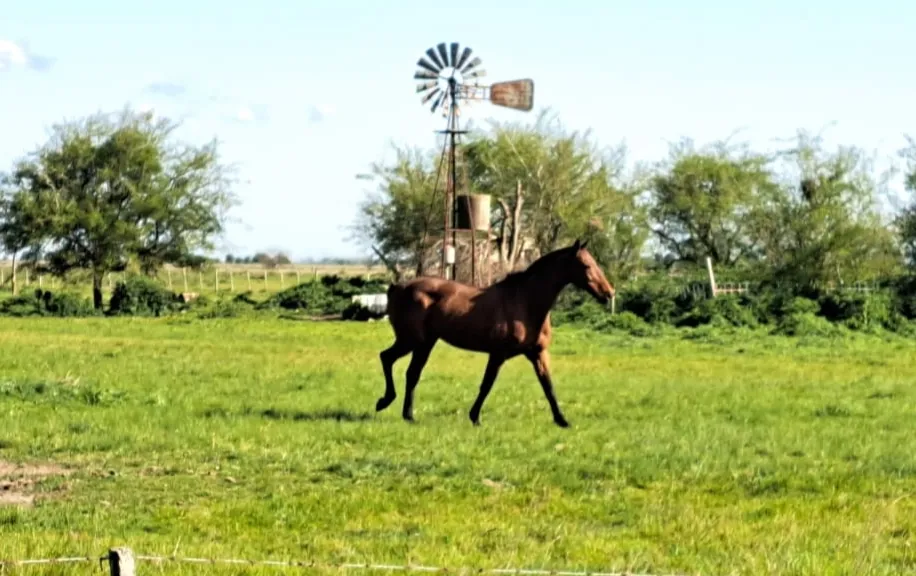 Salidas por el campo