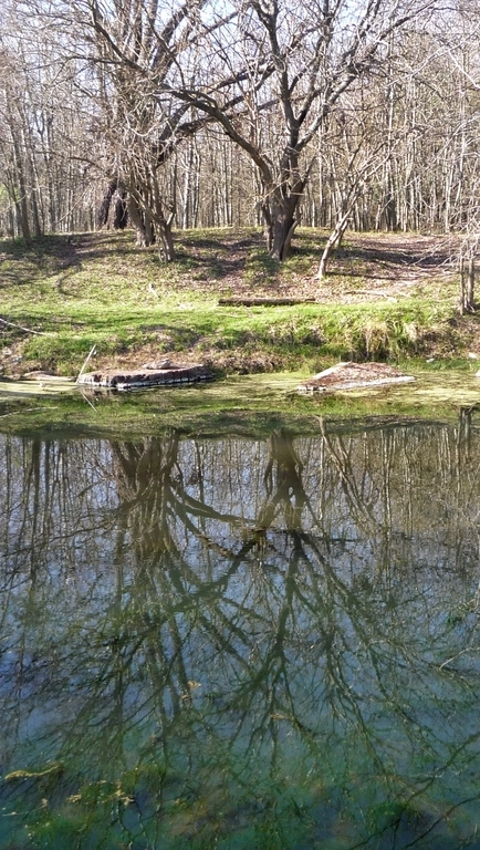 Los dos Guías - Tu aventura te espera