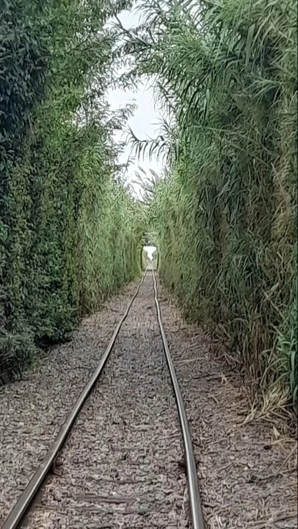 Los dos Guías - Tu aventura te espera