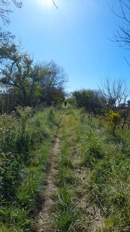 Los dos Guías - Tu aventura te espera