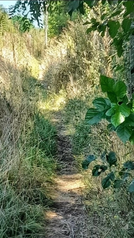 Los dos Guías - Tu aventura te espera