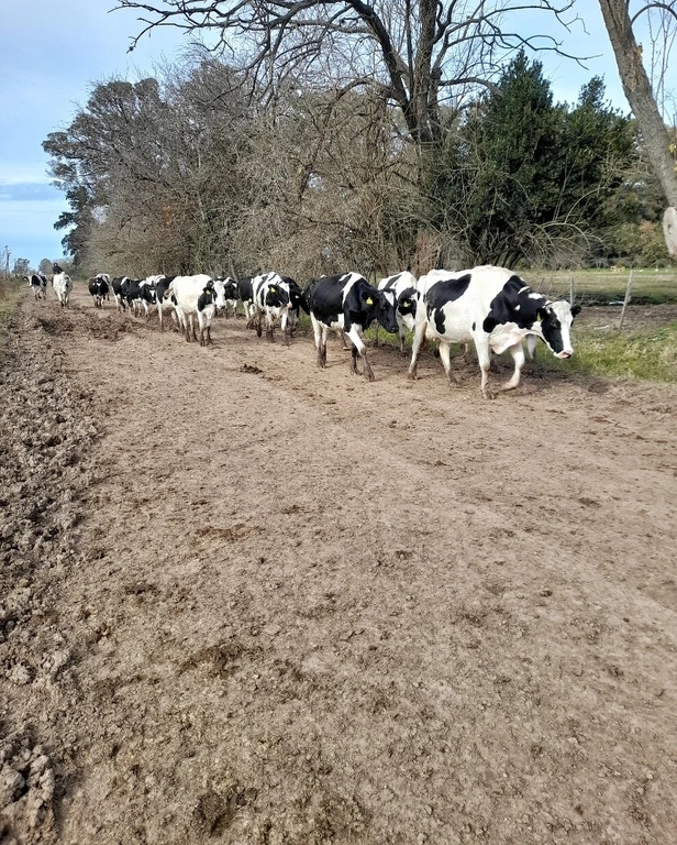 Los dos Guías - Tu aventura te espera