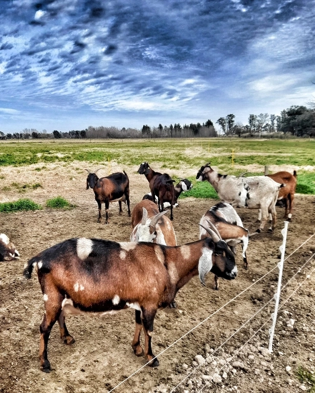 Los dos Guías - Tu aventura te espera