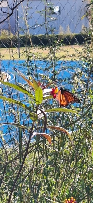 Los dos Guías - Tu aventura te espera