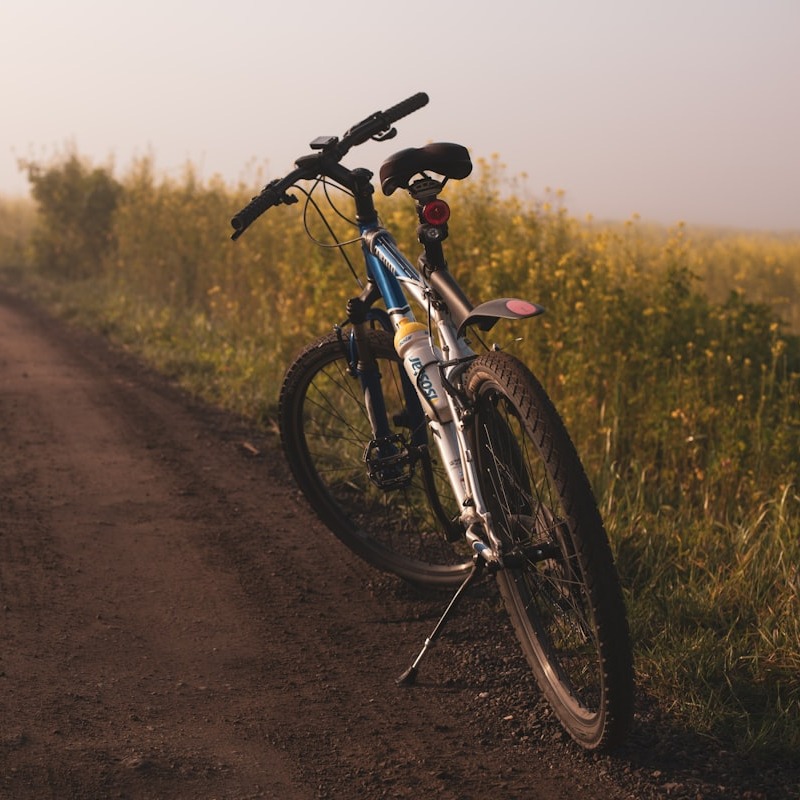 Salidas en bicicleta
